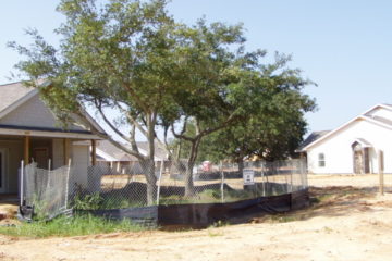 Construction Site Tree Preservation Management